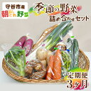 18位! 口コミ数「0件」評価「0」【定期便】季節の野菜セット定期便【野菜・セット・詰合せ・野菜セット】