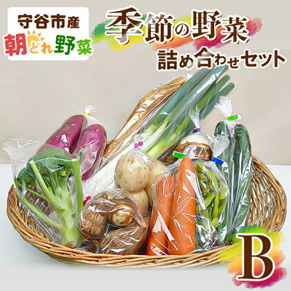 季節の野菜セットB　【野菜・セット・詰合せ・野菜セット】