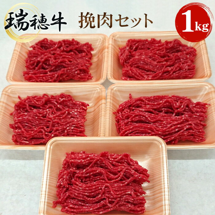 [冷凍配送]瑞穂牛挽肉セット 約1kg / 牛肉 ひき肉 ブランド牛 送料無料 茨城県