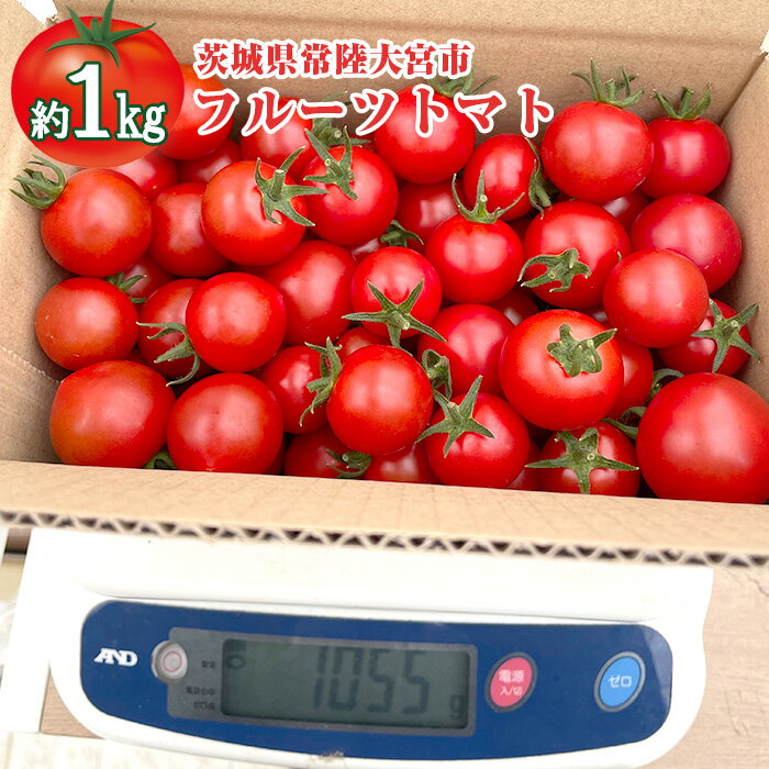 No.782 再エネと次世代農法が育んだ高糖度フルーツトマト約1kg ／ フルティカ 濃厚 野菜 甘い 送料無料 茨城県 特産