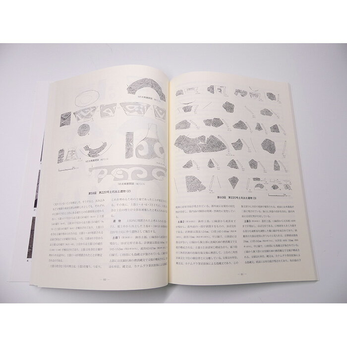 【ふるさと納税】No.826 泉坂下遺跡7　1冊 ／ 弥生時代 報告書 発掘調査 送料無料 茨城県