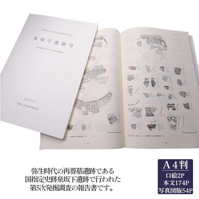 【ふるさと納税】No.827 泉坂下遺跡6　1冊 ／ 弥生時代 報告書 発掘調査 送料無料 茨城県