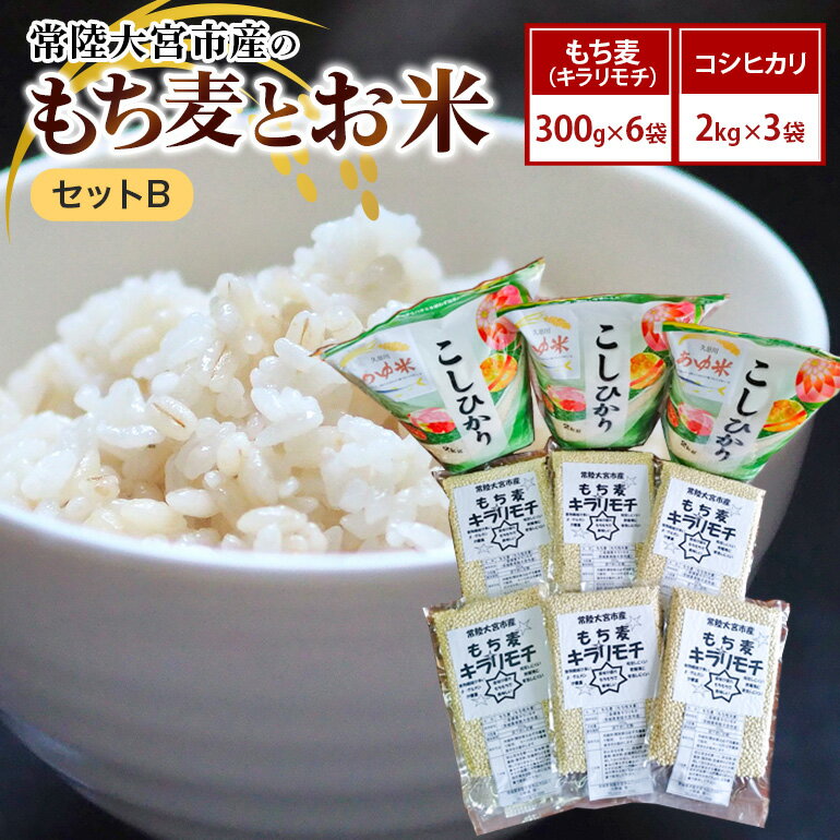 【ふるさと納税】常陸大宮市産のもち麦とお米セットB 大麦 雑穀 白米 コシヒカリ 食物繊維 健康 茨城県 送料無料 【オノセダイコク(株)】 【ho1255】