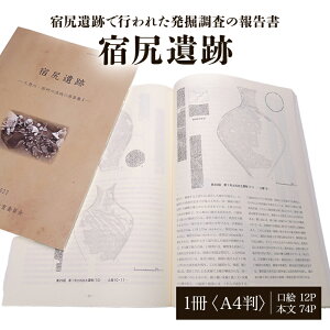 【ふるさと納税】宿尻遺跡 1冊 弥生時代 報告書 壺形土器 茨城県 送料無料 【常陸大宮市教育委員会事務局文化スポーツ課】 【ho1309】
