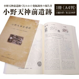 【ふるさと納税】小野天神前遺跡 1冊 弥生時代 報告書 発掘調査 茨城県 送料無料 【常陸大宮市教育委員会事務局文化スポーツ課】 【ho1311】