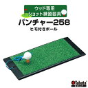 【ふるさと納税】タバタ Tabata パンチャー258 ヒモ付きボールGV0258 練習 ゴルフ コンパクト トレーニング 茨城県 送料無料 【テンポイント(株)】 【ho1320】
