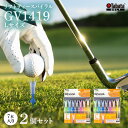 【ふるさと納税】タバタ Tabata リフトティースパイラル GV1419 Lサイズ×2個セット ゴルフ ゴルフ用品 ティー ゴルフティ ショートティー Gol...