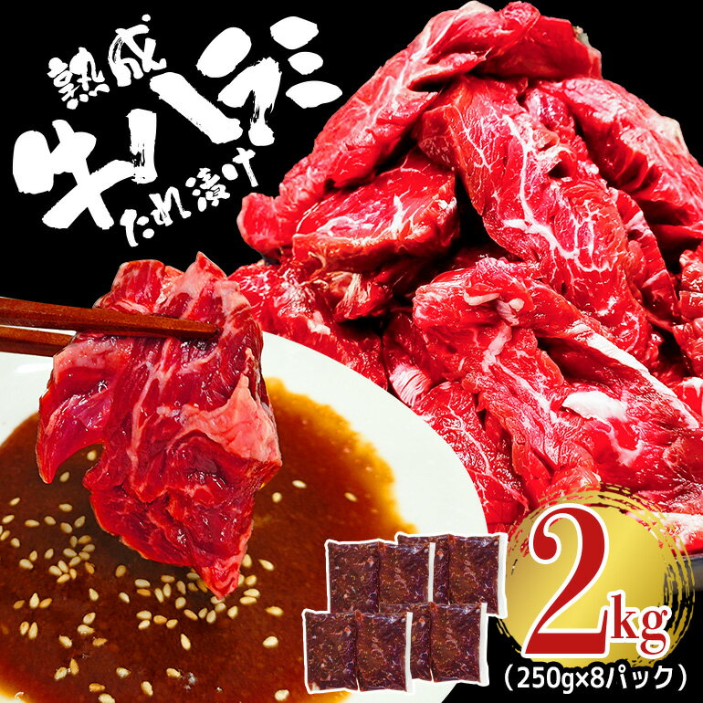 【ふるさと納税】熟成牛ハラミ 2kg(250g×8個) 塩 こしょう 味付け 小分け 冷凍 焼肉 焼き肉 牛 牛肉 ビーフ お取り寄せ そうざい男しゃく 茨城県 常陸大宮 送料無料