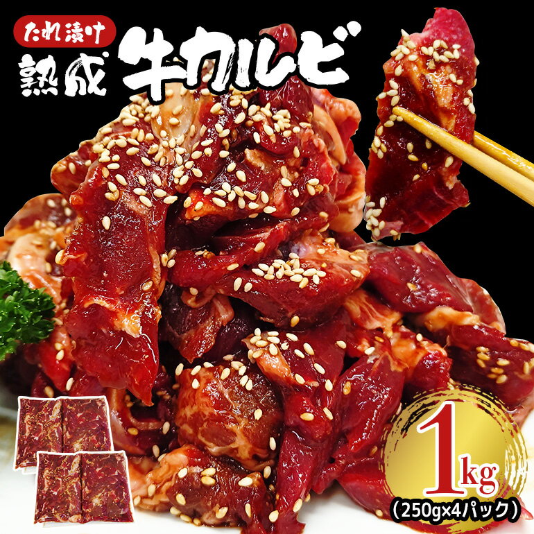 熟成牛 カルビ 1kg (250g × 4パック) たれ 味付 小分け 冷凍 焼肉 焼き肉 牛 牛肉 肉 ビーフ カルビ 牛カルビ バーベキュー BBQ [そうざい男しゃく(株式会社池延)][ho1471]