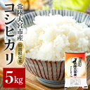 【ふるさと納税】常陸大宮産 コシヒカリ 5kg 特選限定米 白米 精米 おこめ ご飯 国産米 お米ギフト ブランド米 贈答用 人気のお米 美味しいお米 【一般財...