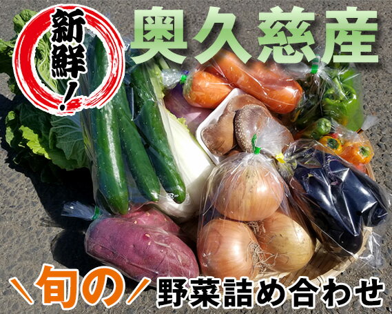 [新鮮!]奥久慈産 旬の野菜詰め合わせ / 季節 セット 送料無料 茨城県 特産