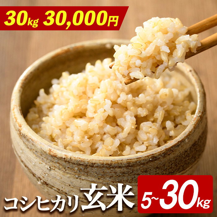 【玄米 30kg 30,000円】 ＜選べる内容量＞茨城県産 R8年産 コシヒカリ玄米 5〜30kg 米 お米 こめ コメ 玄米 5kg 10kg 30kg 茨城 ご飯 国産米 選べる 令和8年 令和8年産 【有限会社桂農産】【ho1806】【ho1807】【ho1808】
