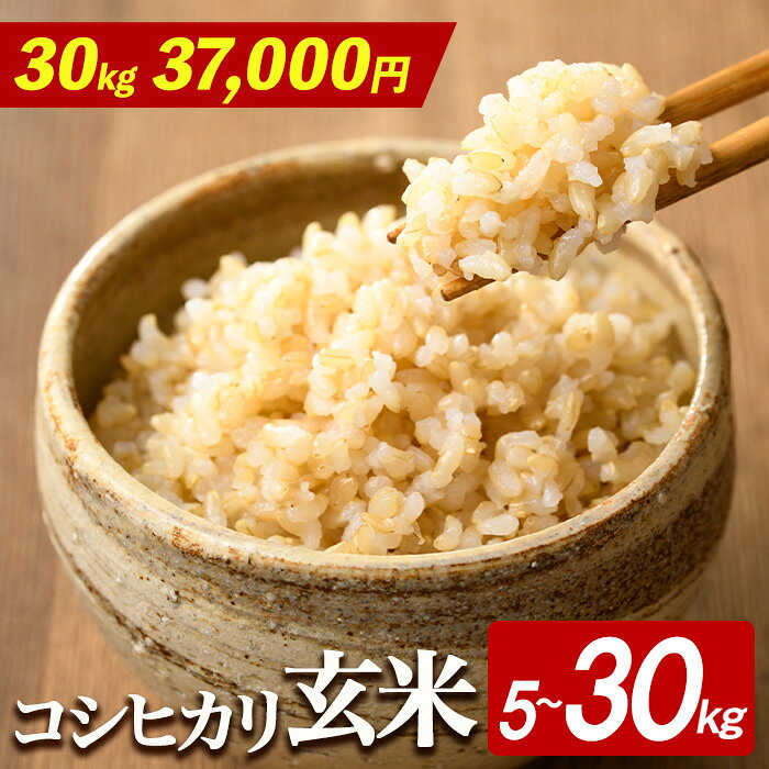 楽天市場】茨城県産コシヒカリ玄米30kgの通販
