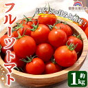 【ふるさと納税】<予約受付中> 再エネと次世代農法が育んだ 高糖度 フルーツトマト 約1kg フルティカ 濃厚 野菜 茨城県 フルーツトマト 高糖度 おつまみ 中玉トマト トマト やさい 完熟 贈り物 サラダ 産地直送<2026年1月より順次発送> 【常陸太陽の庭】 【ho1371】