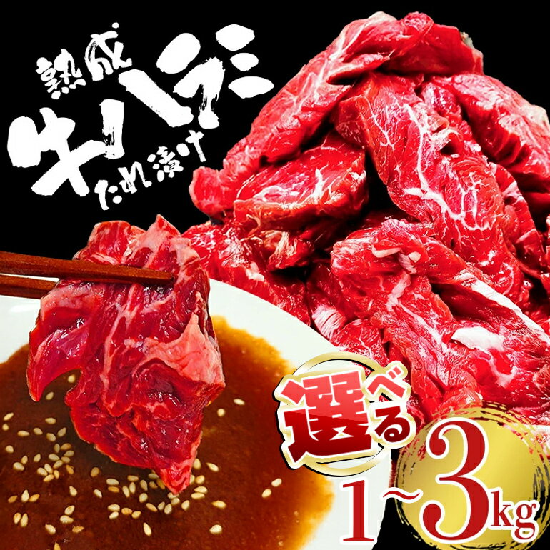 [選べる] 熟成 牛 ハラミ 1kg 2kg 3kg 味付け 味付け肉 小分け 冷凍 焼肉 焼き肉 牛 牛肉 肉 お肉 ビーフ お取り寄せ ご家庭用 おうちご飯に ご自宅用 茨城県 [そうざい男しゃく(株式会社池延)] [ho1468][ho1469][ho1470]