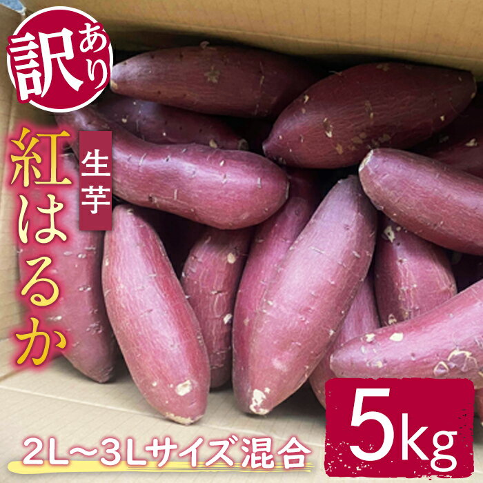 【ふるさと納税】【訳あり】サツマイモ(紅はるか) 5kg 2L〜3Lサイズ混合 訳あり わけあり さつまいも サツマイモ べにはるか 紅はるか 生芋 なまいも ...