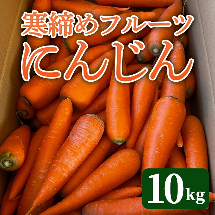寒締めフルーツにんじん 10kg ニンジン にんじん 有機野菜 有機 オーガニック JAS やさい 野菜 常温 常温保存 [株式会社レインボーフューチャー][ho1604]