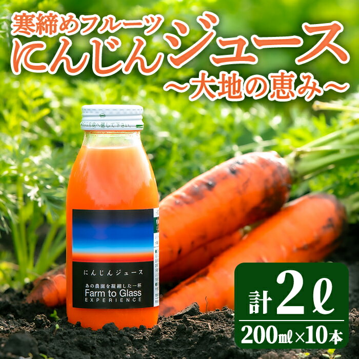寒締めフルーツ にんじんジュース 〜大地の恵み〜 200ml 10本入り ニンジン にんじん 有機野菜 有機 オーガニック JAS ジュース 常温 常温保存 贈答 ギフト 詰め合わせ [株式会社レインボーフューチャー][ho1605]