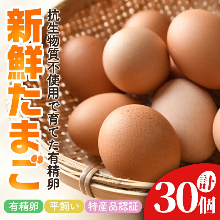 石黒たまご園の平飼い有精卵 30個入り たまご タマゴ 鶏卵 玉子 卵 常温 茨城県 普段使い用 パック包装 平飼い 30個 [石黒たまご園][ho1622]