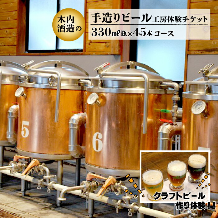 【ふるさと納税】木内酒造 手造りビール工房体験チケット 330ml瓶45本コース