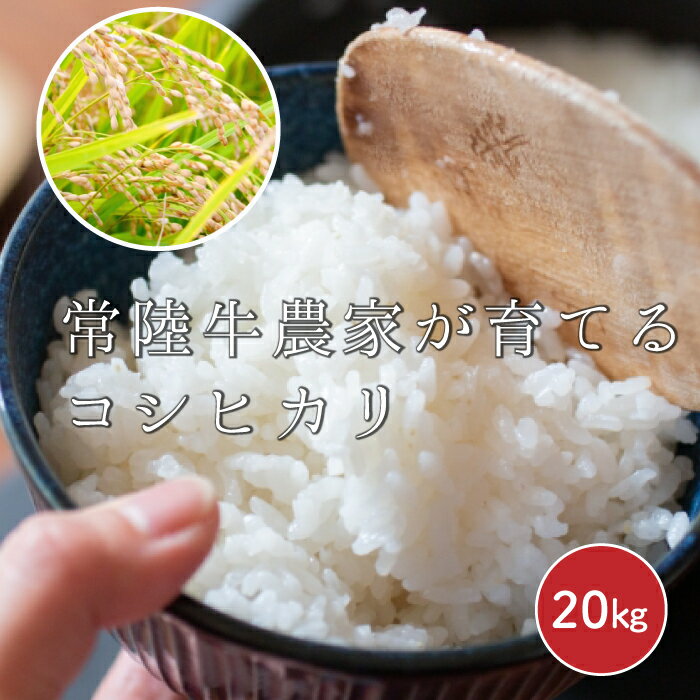 人気ランキング第44位「茨城県那珂市」口コミ数「0件」評価「0」【令和5年度産】常陸牛農家が育てるコシヒカリ 20kg