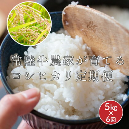 【定期便】常陸牛農家が育てるコシヒカリ 5kg×6回（令和5年度産）