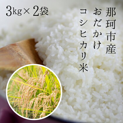 【令和5年度産】那珂市産　おだかけコシヒカリ米　3kg×2袋