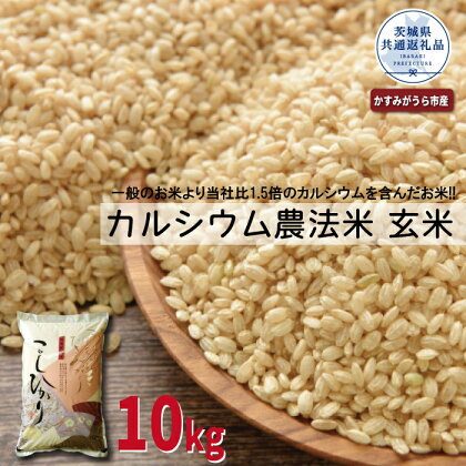 カルシウム農法米　玄米10kg（茨城県共通返礼品・かすみがうら市産）