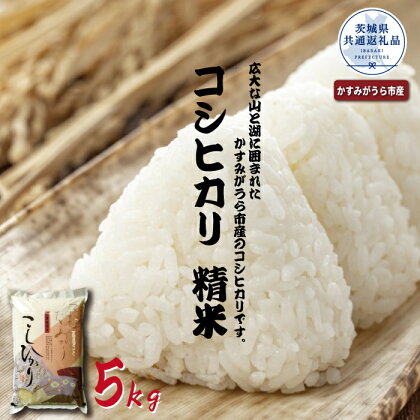 コシヒカリ　精米5kg（茨城県共通返礼品・かすみがうら市産）