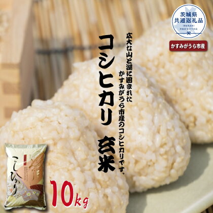 コシヒカリ　玄米10kg（茨城県共通返礼品・かすみがうら市産）