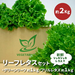 【ふるさと納税】リーフレタスセット　約2Kg