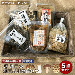 【ふるさと納税】きのこの加工品詰め合わせ 5点セット 茨城県共通返礼品 城里町産 きのこの水煮 混ぜご飯の素 うどんそばの具 乾燥キクラゲ 乾燥椎茸 きのこミックス 水煮 国産 きのこ 乾燥 しいたけ ハナビラタケ きくらげ バラエティ セット 乾燥きのこ 送料無料