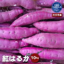 【ふるさと納税】さつまいも 紅はるか 10kg 茨城県共通返礼品 行方市産 なめらか食感 甘い 焼き芋 ねっとり しっとり 甘みが強い スイーツ 料理 てんぷら スイートポテト お菓子作り 送料無料(4)