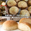 【ふるさと納税】パン工房ぐるぐる 奥久慈卵のとろ~りクリームパン 5個 究極の塩バタ-メロンパン 4個 合計9個セット クリームパン メロンパン スイーツ パン お土産 お取り寄せ 冷凍 プレゼント 食べ物 ギフト お中元 冷凍パン お取り寄せスイーツ 美味しい 送料無料