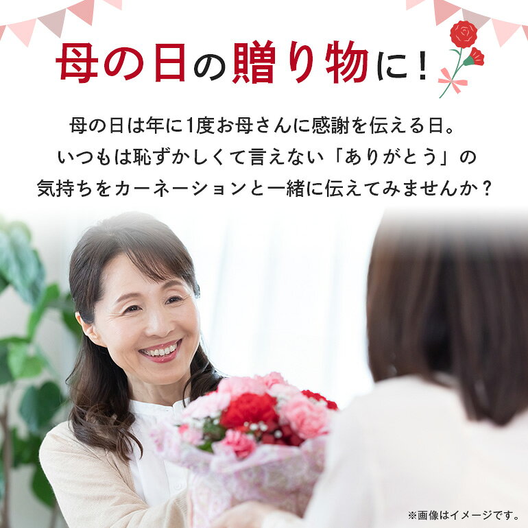 【ふるさと納税】カーネーション オレンジ系 母の日への贈り物 プレゼント ギフト カーネーション 花 アレンジ 鉢植え 5号 鉢 国産 花鉢 鉢花 フラワーアレンジメント 母の日ギフト フラワーギフト お祝い 母の日 送料無料