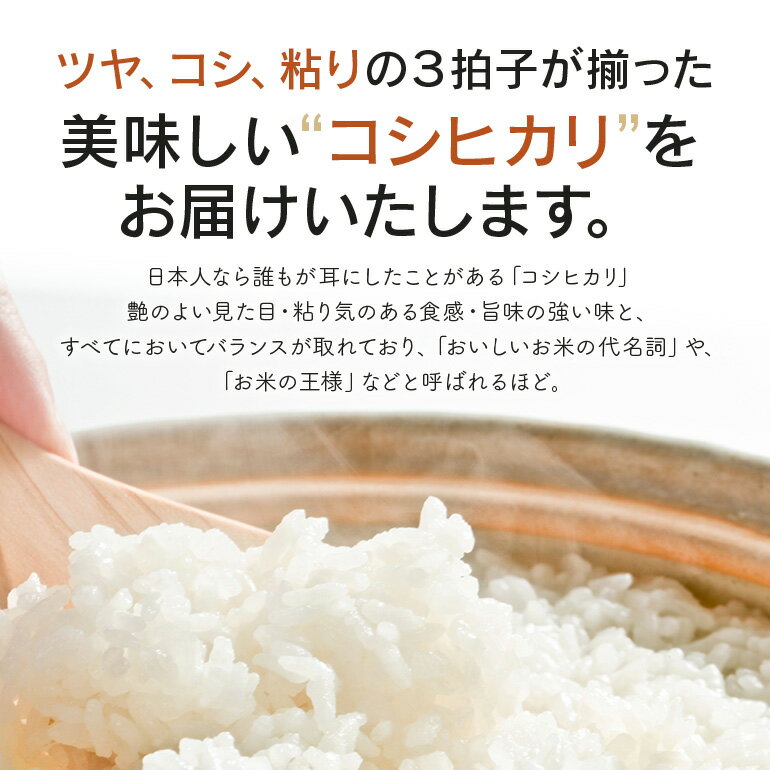 【ふるさと納税】令和7年度産 みねしまふぁーむ 常陸牛農家が育てるコシヒカリ 選べる 5kg 10kg 15kg 20kg 定期便 6か月 6ヶ月 コシヒカリ 低農薬 低化学肥料 米 精米 コシヒカリ米 茨城県産 白米 お米 コメ おこめ こしひかり 有機 ブランド 健康 ギフト 贈り物 送料無料