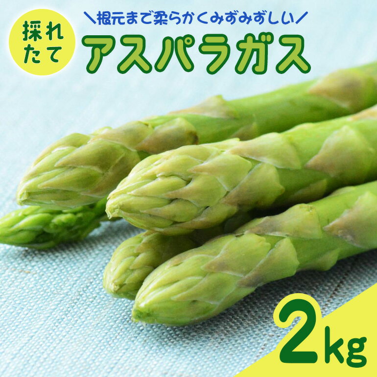 【ふるさと納税】アスパラガス 2kg