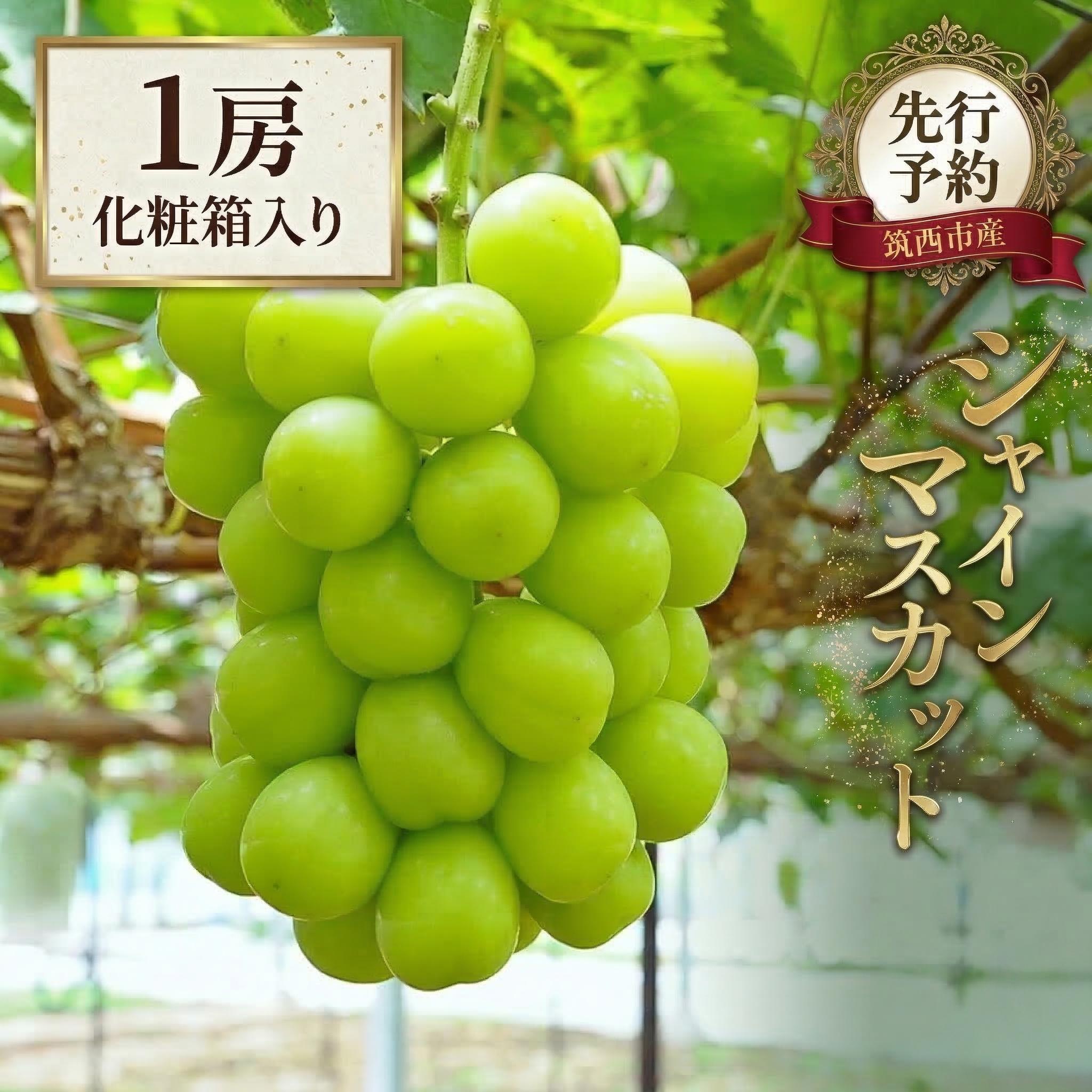 【ふるさと納税】 シャインマスカット 1房 800g 種無し ぶどう ブドウ 葡萄 フルーツ 果物 旬 甘い 大粒 粒 皮ごと お取り寄せ 化粧箱 ギフト 2026年産 期間限定 贈答用 筑西市 茨城県 関東