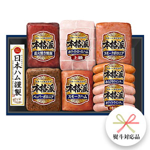 【ふるさと納税】 【 熨斗 対応品 】 日本ハム 筑西工場 ギフトセットD 肉 にく 贈答 ギフト 詰め合わせ ハム ソーセージ ウィンナー 生ハム 焼豚 お中元 お歳暮