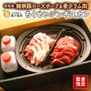 【ふるさと納税】【数量限定】筑西産すりおろし梨果汁使用!【茨城産銘柄豚ローズポーク&希少ラム肉】の【ちくせいジンギスカン】
