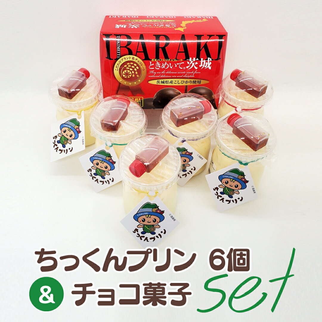 【ふるさと納税】ちっくんプリン 6個 ＆ チョコ菓子 セット ぷりん プリン チョコ チョコレート おかし おやつ 菓子