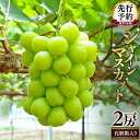【ふるさと納税】期間限定 ! 筑西市産 シャインマスカット 2房 ぶどう ブドウ 葡萄 フルーツ 2025年産