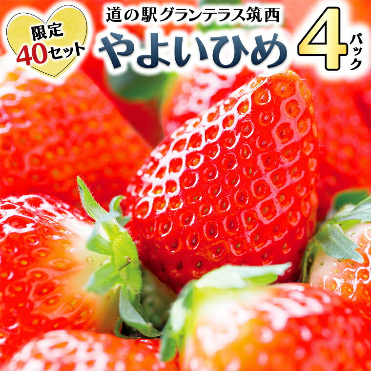 【ふるさと納税】【先行予約】限定40セット！道の駅グランテラス筑西【苺】やよいひめ4パック （1月上旬より随時発送）苺 いちご イチゴ 数量限定 やよいひめ 甘いのサムネイル