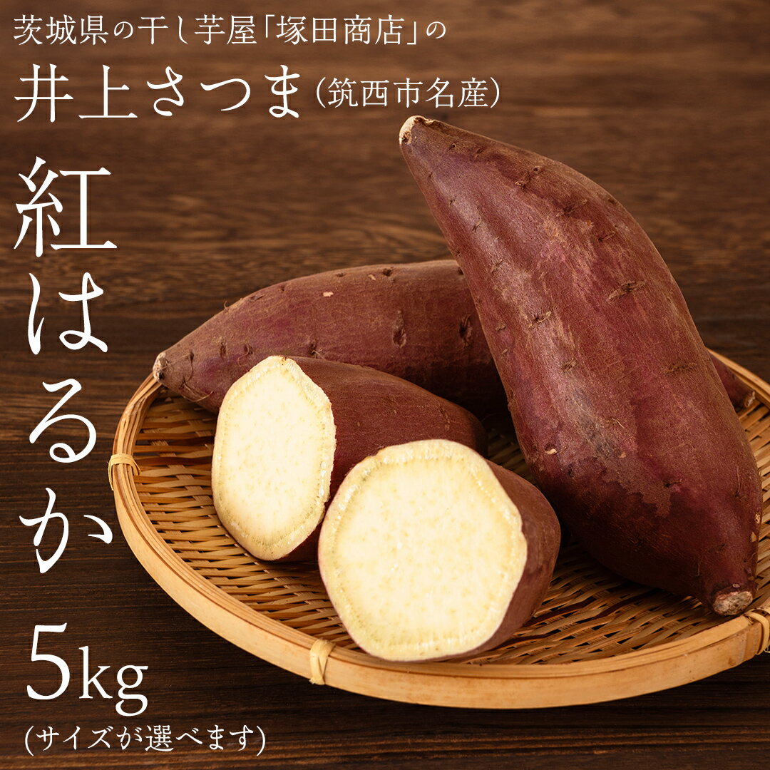 【ふるさと納税】【 塚田商店 】 井上さつま 「 紅はるか 」 5kg ( 選べる サイズ ) Sサイズ Mサイズ Lサイズ 2Lサイズ 新物 ブランド芋 茨城県産 筑西市産 さつまいも サツマイモ いも 芋 イモ マツコの知らない世界 スーパーツカダのサムネイル