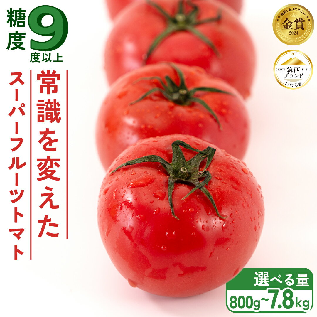 スーパーフルーツトマト 糖度9度 以上 ( 選べる 内容量 & お届け回数 ) 2026年産 先行予約トマト とまと フルーツトマト フルーツ 野菜 やさい 定期便 定期 大箱 中箱 小箱 1箱 2箱 高糖度