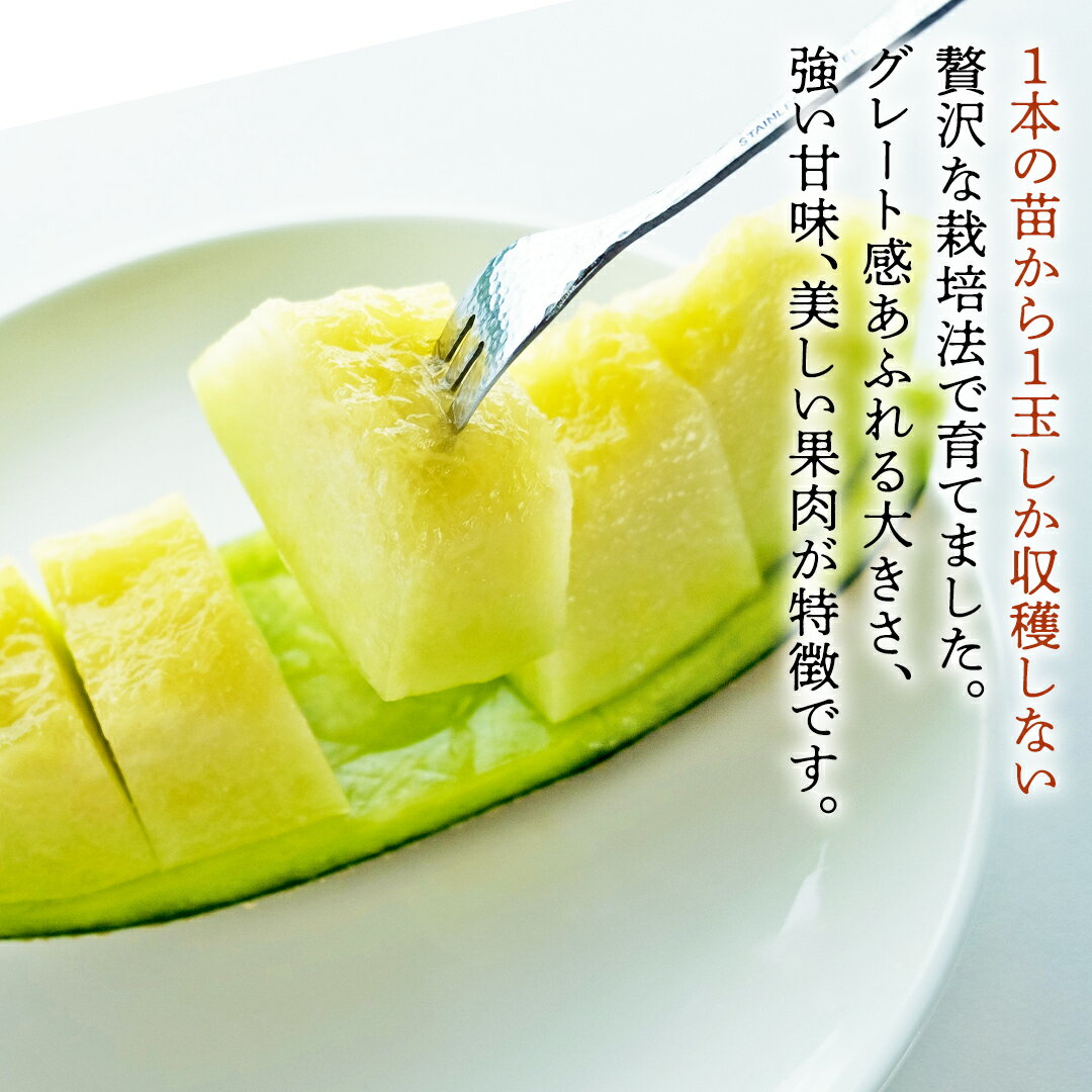 【ふるさと納税】 完熟 アールスメロン ( 選べる 内容量 ) 2026年産 先行予約 メロン マスクメロン 青肉 果物 フルーツ 茨城県産 期間限定 数量限定 1玉 特大1玉 2玉 3玉 4玉 5玉