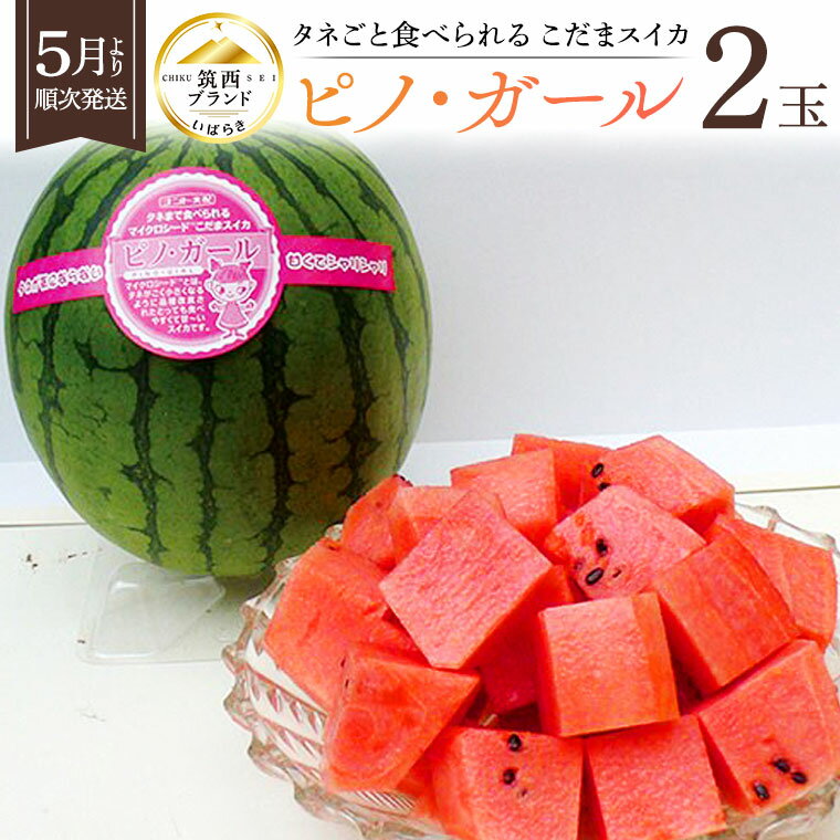 【ふるさと納税】【 先行予約 】 感動必至！ タネが気にならない こだまスイカ ピノ・ガール 2玉（ 2023年5月下旬から順次発送 ） すいか スイカ 小玉スイカ フルーツ 果物のサムネイル