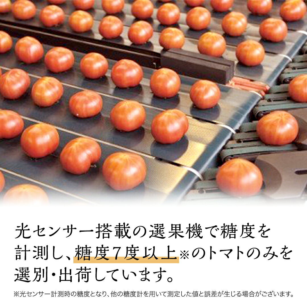 【ふるさと納税】 超大玉 フルーツトマト 大箱 約2.8kg × 1箱 【14～18玉/1箱】 2026年産 糖度7度 以上 野菜 フルーツ トマト とまと