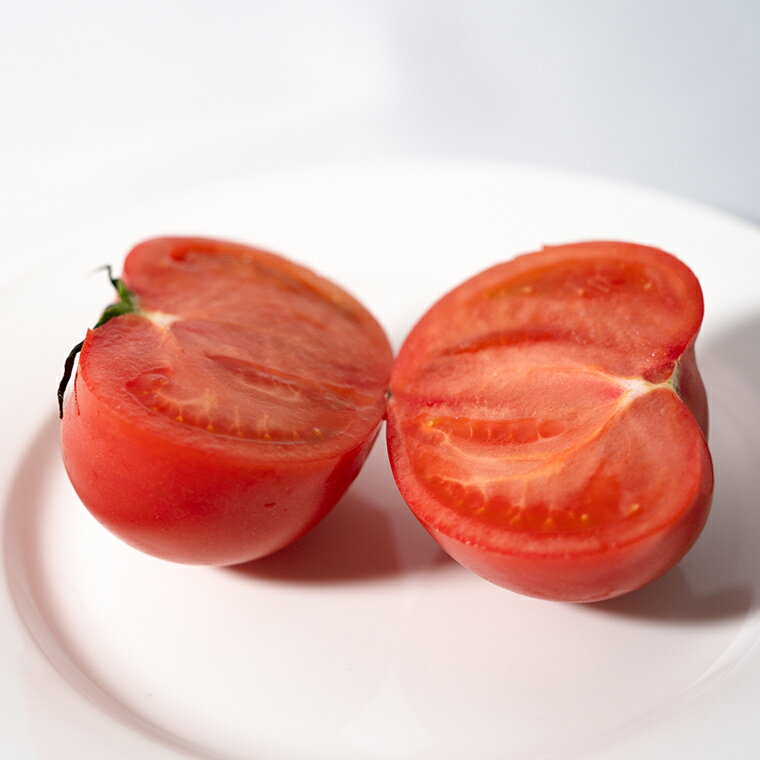 【ふるさと納税】【 先行予約 】【 3ヶ月 定期便 】 スーパーフルーツトマト 糖度9度 以上 野菜 フルーツトマト フルーツ トマト とまと