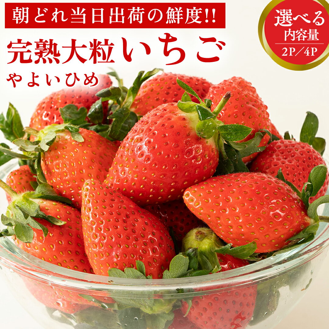 【ふるさと納税】【 先行予約 】 イチゴ 完熟 やよいひめ 大粒 いちご 苺 期間限定 数量限定 2パック 4パックのサムネイル
